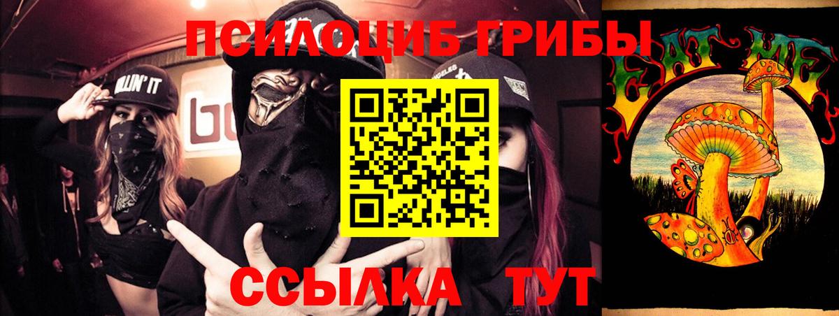 наркотики  Вход с VPN  Альметьевск  Псилоцибиновые грибы мухоморы 